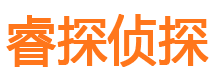 临港寻人公司